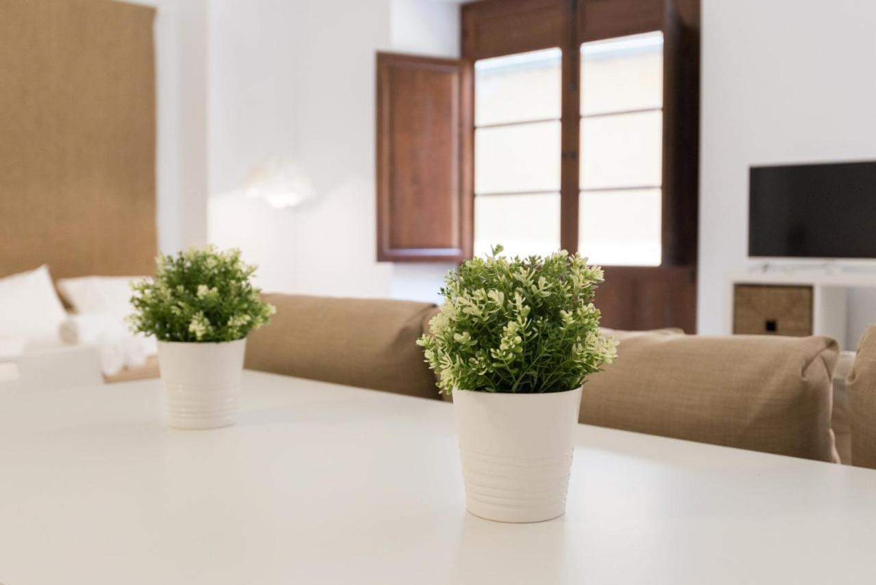 Santiago Premium Loft I Lägenhet Málaga Exteriör bild
